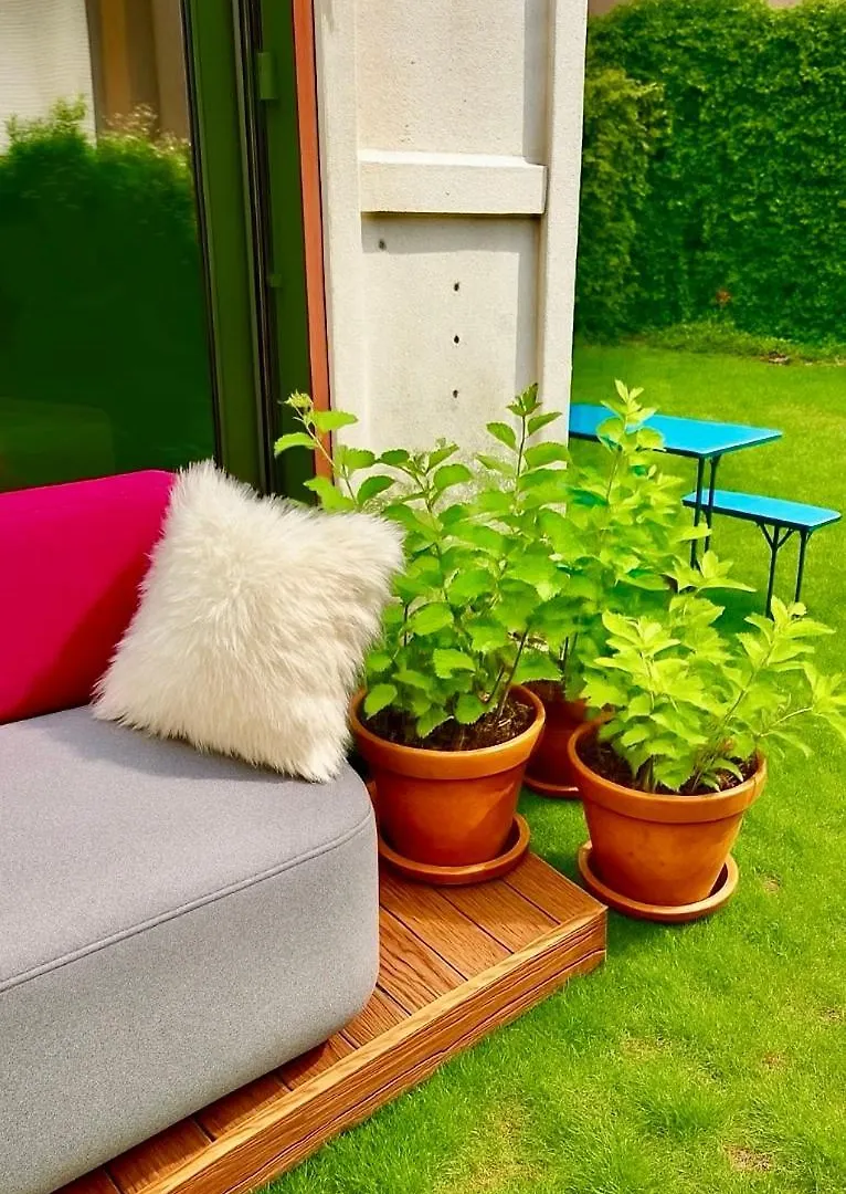 Designer Tiny House With Wraparound Sun Terrace & Garden Lounge Apartman Berlin 0*,